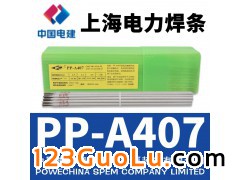 ϺPP-A407 /E310-15ֵ纸