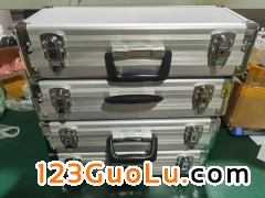 WSL-T3000 ׼¶ȼ