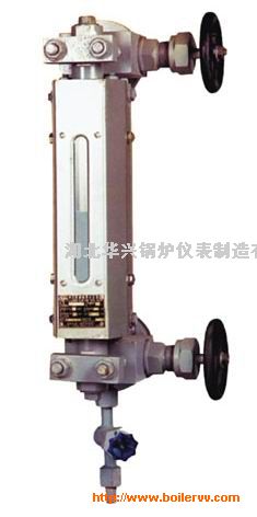 F1030AʯӢ��ʽˮλ��